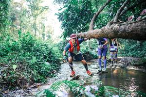 BIB: 
                            <button type="button" onclick="openModal(25436640)" class="btn btn-primary btn-sm float-right btn-popup" data-toggle="modal" data-target=".modal-high-quality">
                        <i class="fas fa-shopping-cart"></i> Add to Cart
                    </button>
                                            <button type="button" onclick="isThisMe(25436640, true)" class="btn btn-success btn-sm float-right btn-popup btn-isme hidden" data-toggle="tooltip" data-placement="bottom" title="นี่คือรูปของคุณใช่ไหม คลิกที่นี่เพื่อเอาเข้าอัลบั้ม">
                        <i class="fas fa-plus"></i> Add to album
                    </button>
                    <button type="button" onclick="isThisMe(25436640, false)" class="btn btn-warning btn-sm float-right btn-popup btn-isnotme hidden">
                        <i class="fas fa-ban"></i> Remove from album
                    </button>